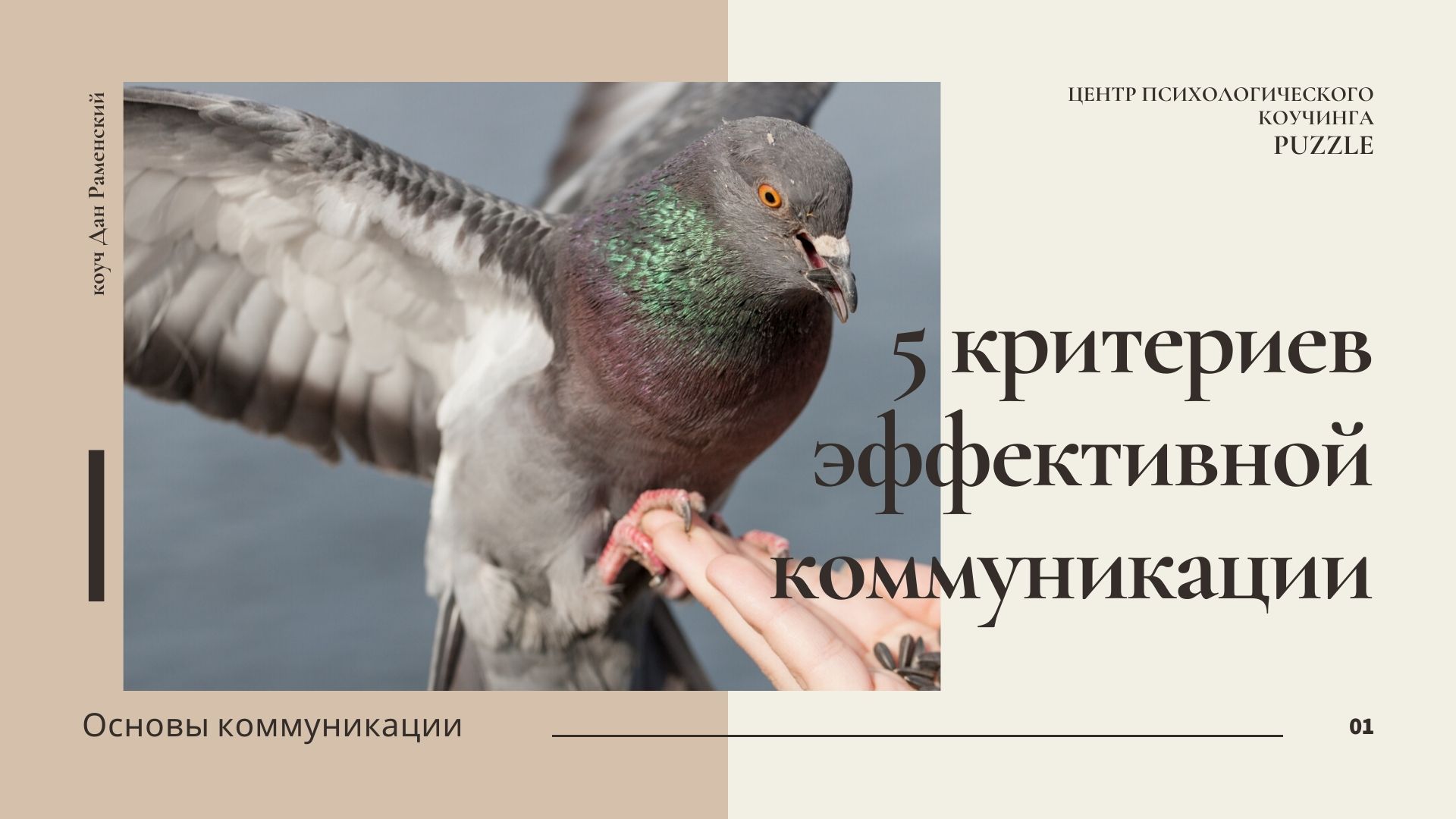 5 критериев эффективной коммуникации