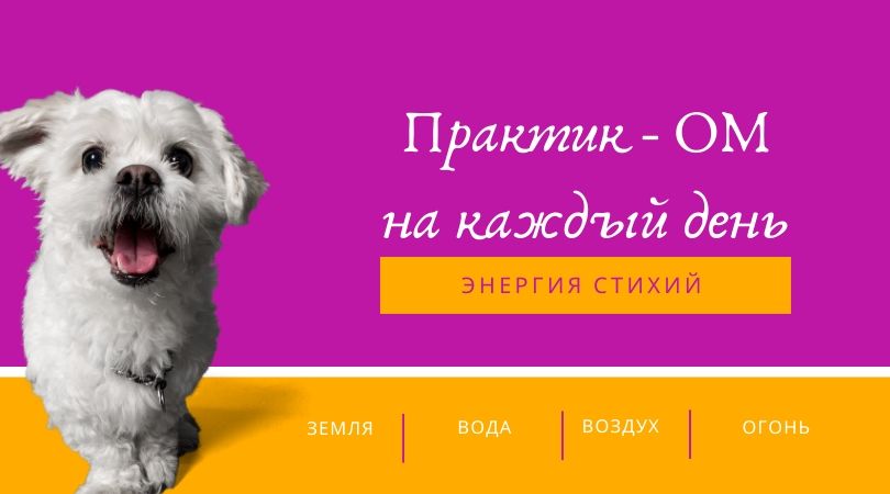 Практик-ОМ